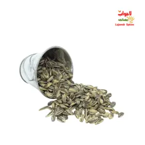 sunflower seeds (roasted) / بھنے ہوئے تخمِ سورج مکھی